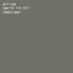#71716B - Limed Ash Color Image